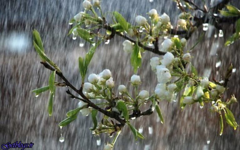 تصویری از اشکهای موراتا هنگام وداع با رئال مادرید